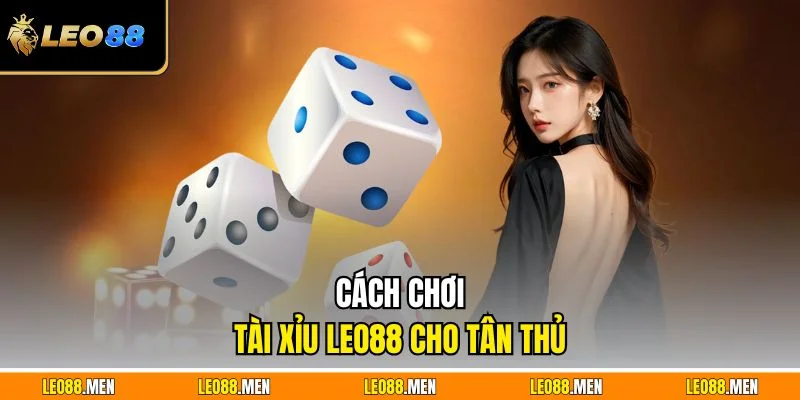 Tài Xỉu LEO88 Chơi Siêu Nhanh Dễ Trúng Cược Cực Đã Cách chơi tài xỉu LEO88 cho tân thủ